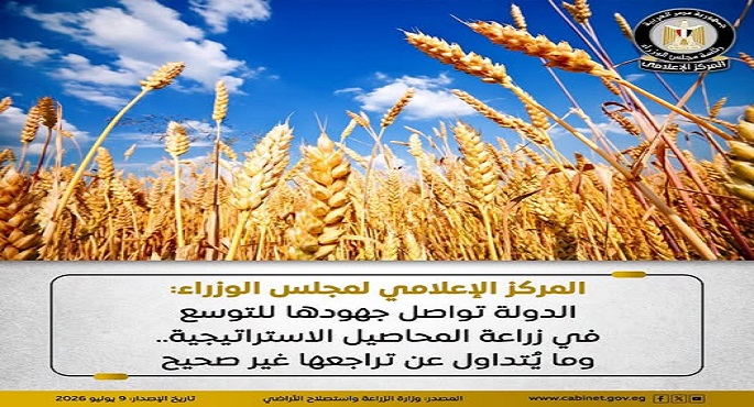 "إعلامى مجلس الوزراء": الدولة تواصل جهودها للتوسع فى زراعة المحاصيل الاستراتيجية وما يُتداول عن تراجعها غير صحيح