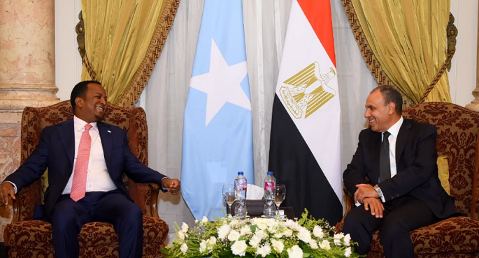 وزير الخارجية يؤكد لنظيره الصومالى دعم مصر للجهود الدولية الرامية لتحقيق الأمن والاستقرار بالصومال