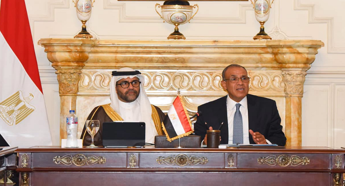 وزير الخارجية يؤكد حرص الدولة على دعم نشاط الشركات المصرية فى إفريقيا