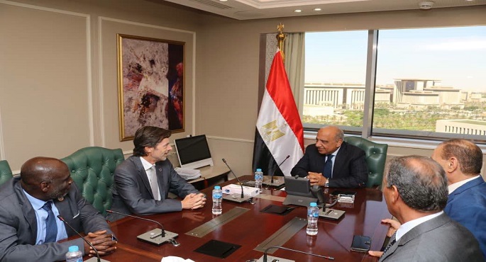 وزير الكهرباء يبحث مع وفد المنظمة الدولية للمواصفات الكهروتقنية تعزيز التعاون الفنى والمؤسسى
