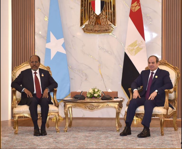 الرئيس السيسى يؤكد ثوابت الموقف المصرى الداعم لسيادة الصومال ووحدة وسلامة أراضيه