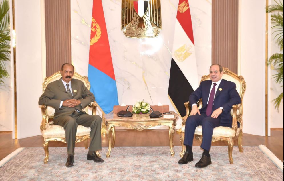 الرئيس السيسى يؤكد رفض مصر القاطع لأى انتهاك لسيادة الدول أو مساس بوحدتها الإقليمية